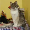 Отзыв от Екатерина Субботина